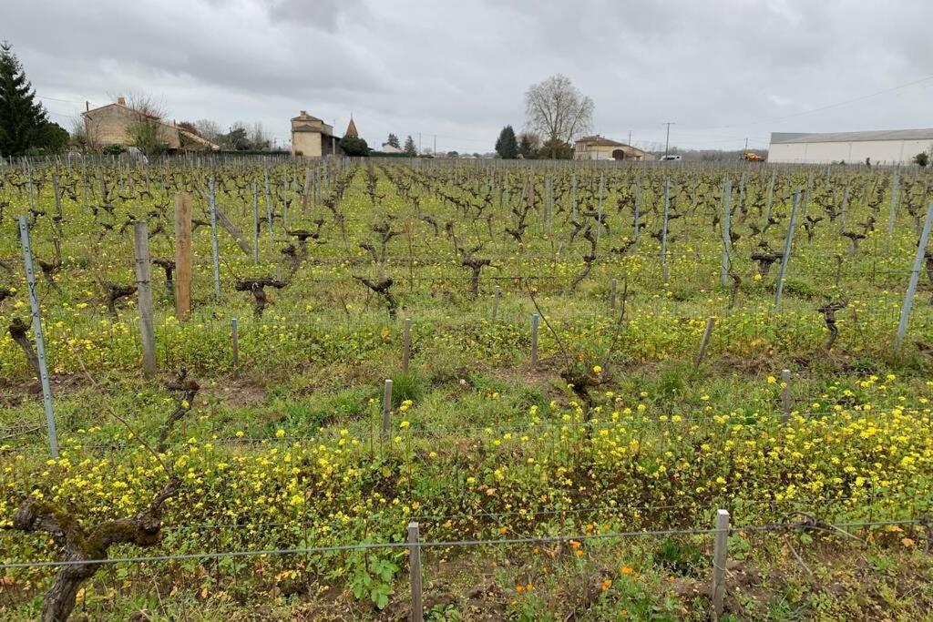 Chateau Roseyrol Proche Saint-Emilion Exterior foto